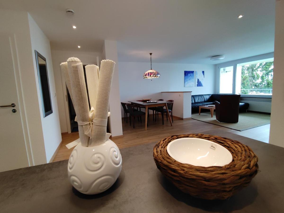 Bodensee Apartments Meersburg Sonnhalde ภายนอก รูปภาพ